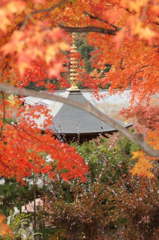 勝尾寺