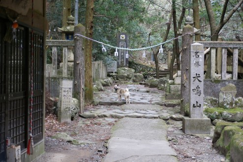 犬鳴山