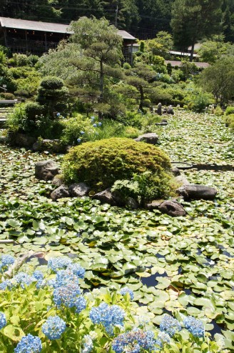 滝谷花しょうぶ園
