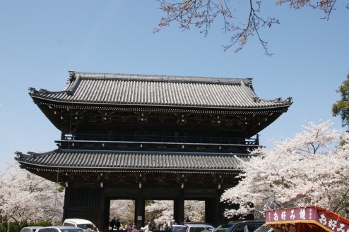 根来寺の桜